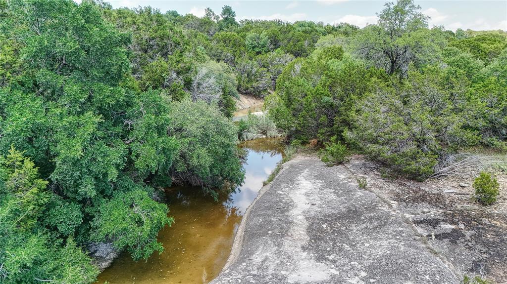 3000 Nech Ranch Court Granbury, TX 76048 - Photo 8 of 26 a view of a forest with a street