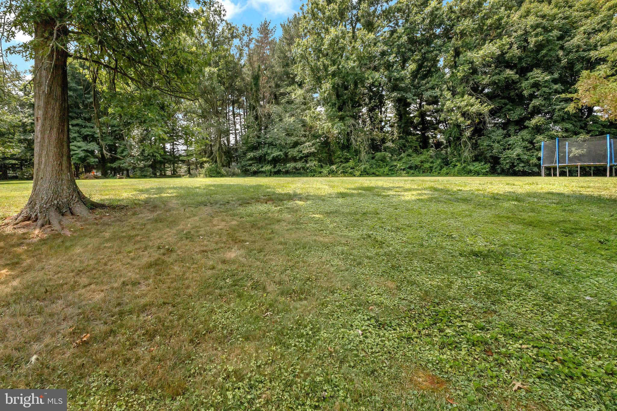 115 Peyton Road Sterling, VA 20165 - Photo 31 of 33 Plenty of Space for Entertaining....or a Pool?!
