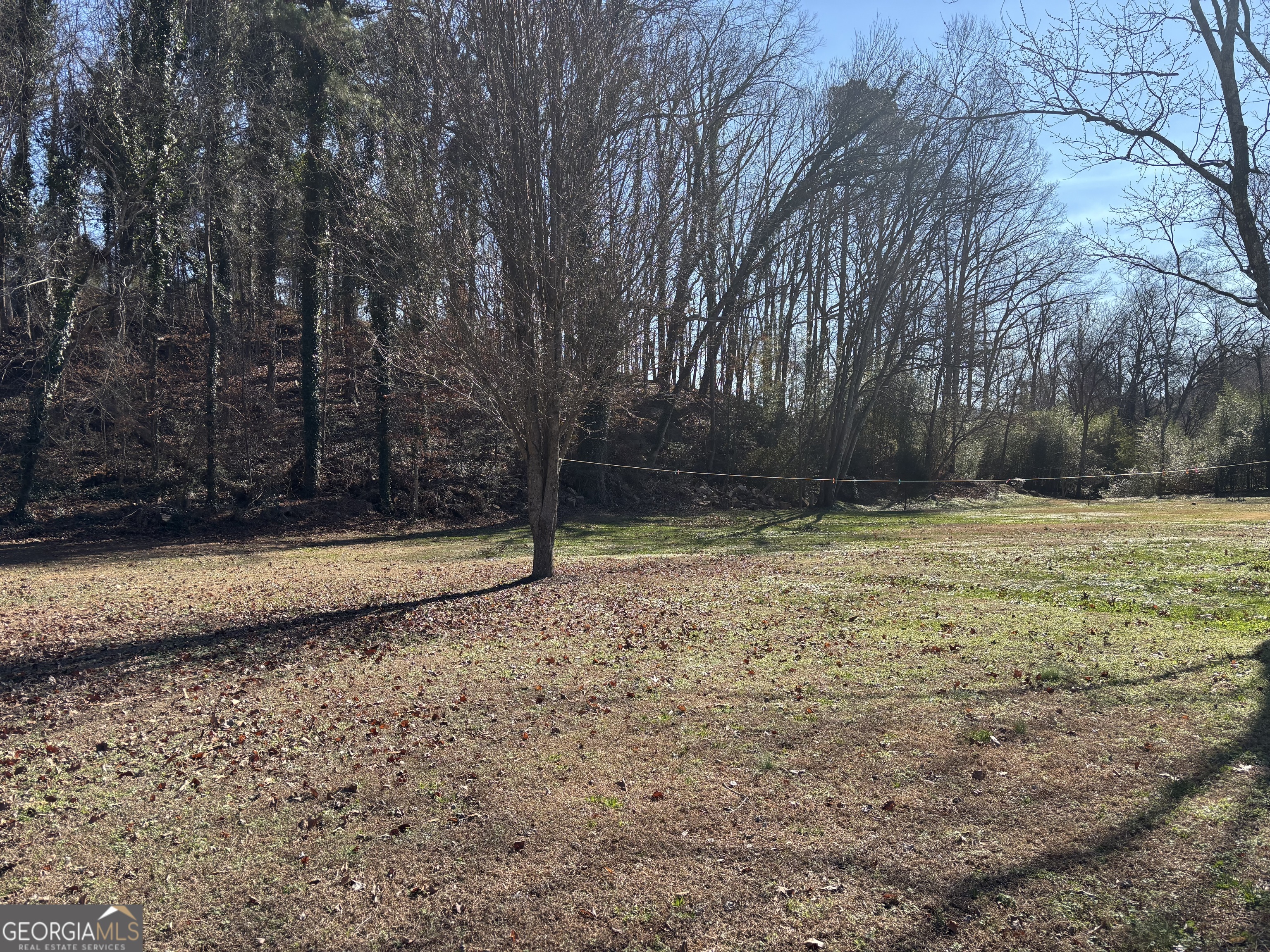 1517 Cave Spring Road Southwest Rome, GA 30161 - Photo 6 of 25 a view of a yard with a tree