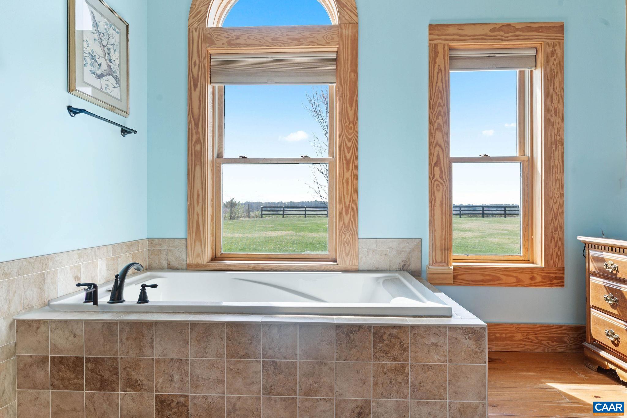 42 River Ridge Lane Stanardsville, VA 22973 - Photo 31 of 70 a bathroom with a bathtub and next to a window