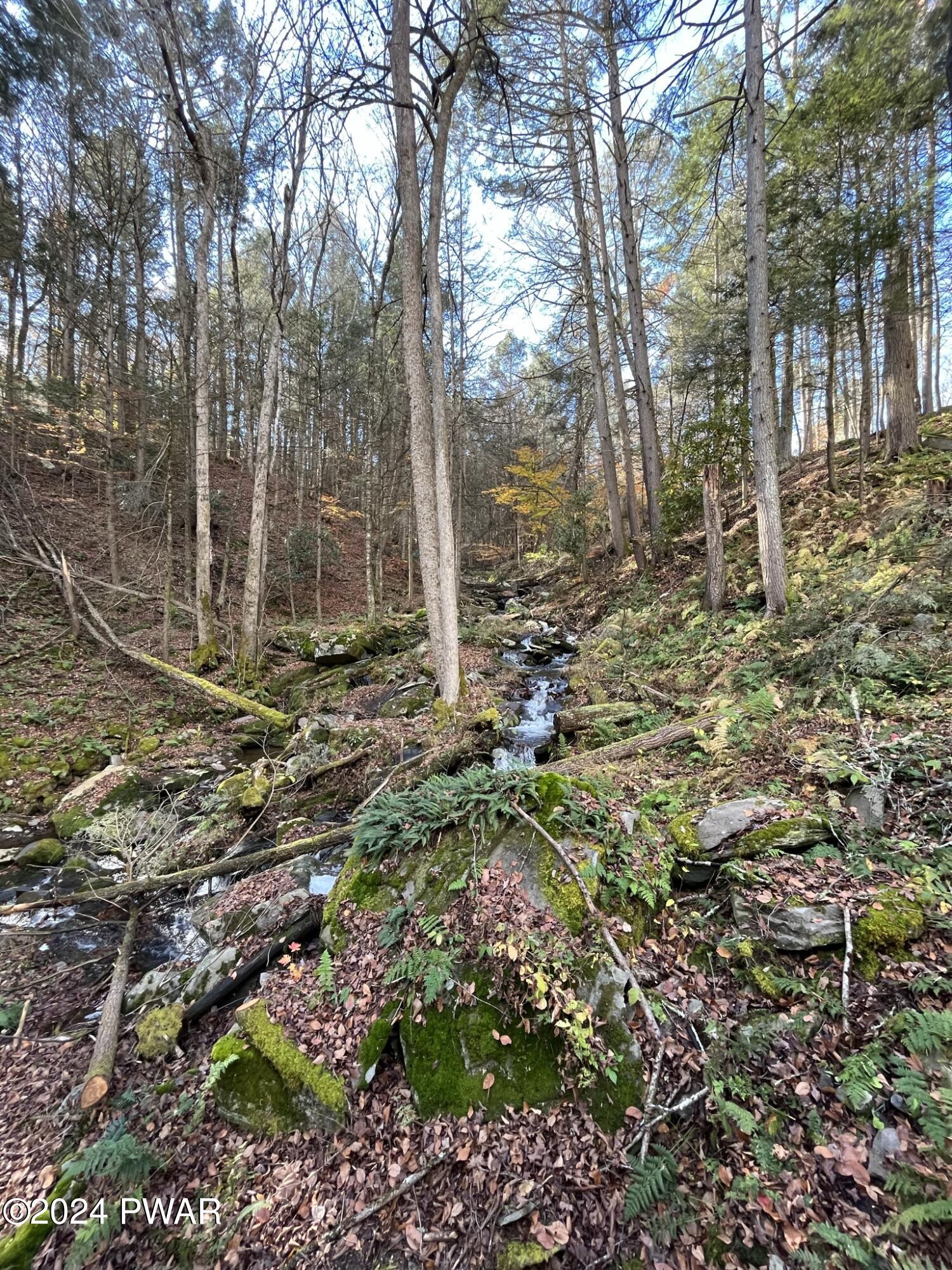 850 Conklin Hill Road Damascus, PA 18415 - Photo 41 of 42 Waterfall on Property