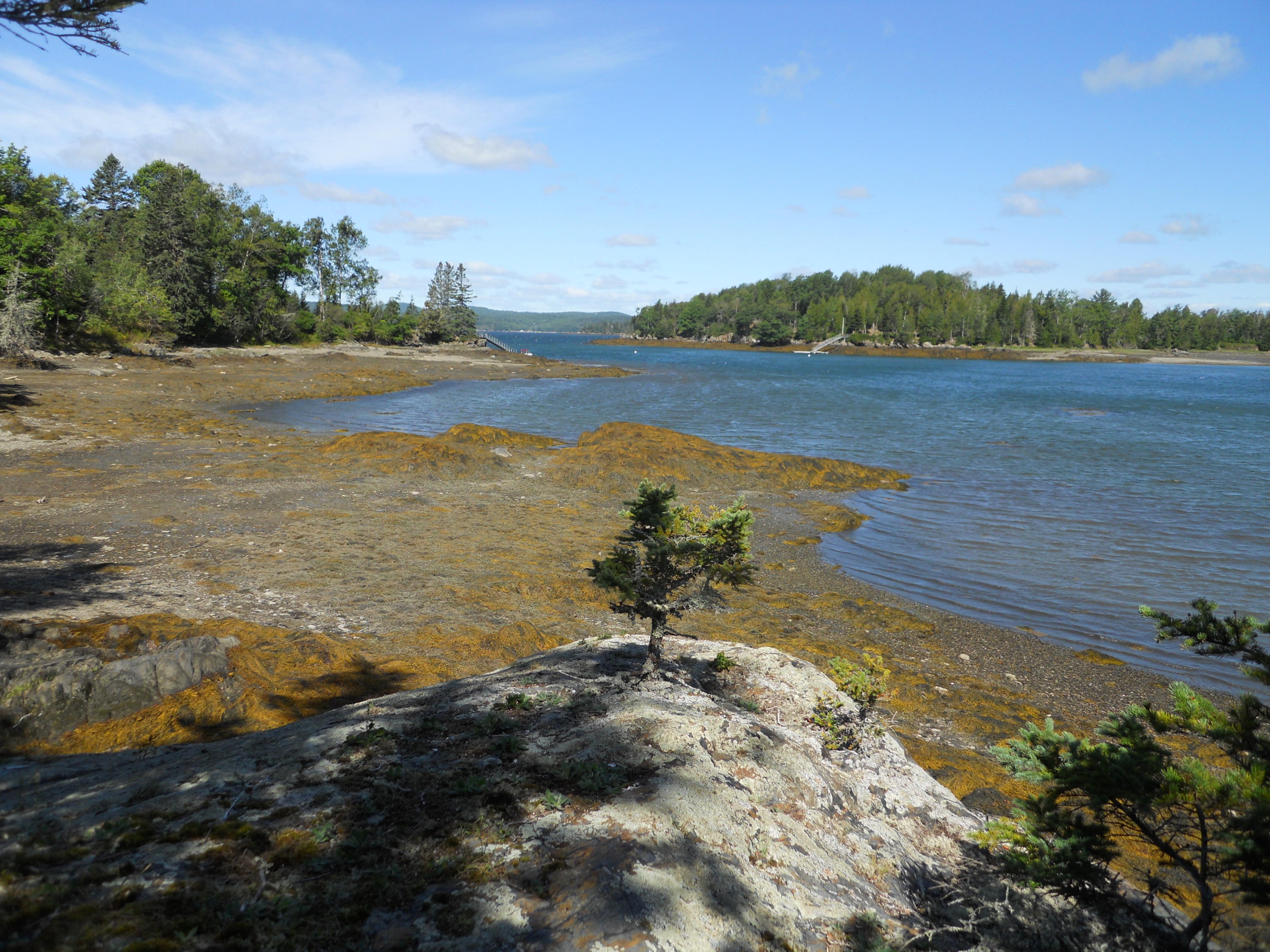 0 West Bay Road Islesboro, ME 04848 - Photo 11 of 60 DSCN0705