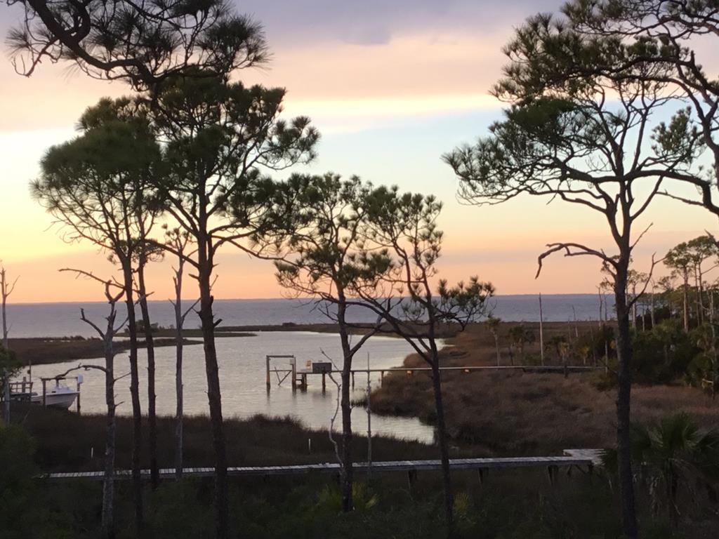 1905 Smugglers Cove Road Eastpoint, FL 32328 - Photo 2 of 53
