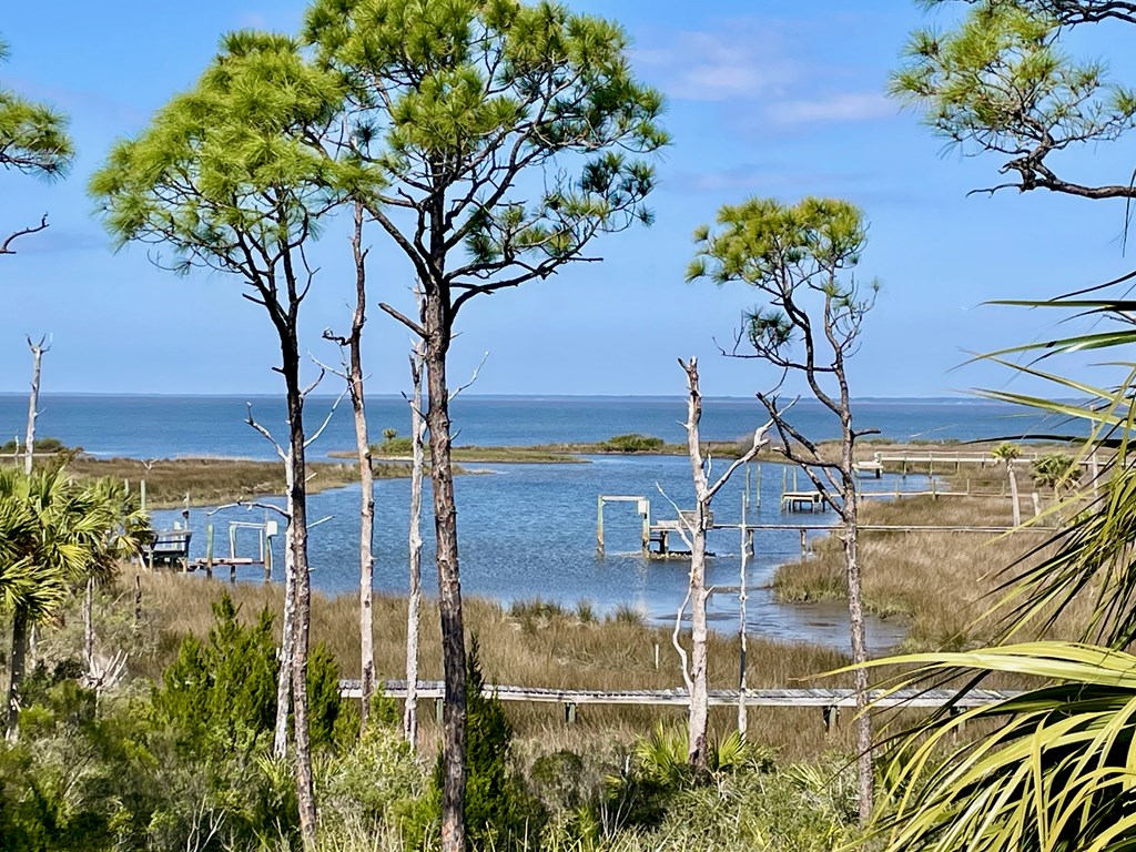 1905 Smugglers Cove Road Eastpoint, FL 32328 - Photo 3 of 53