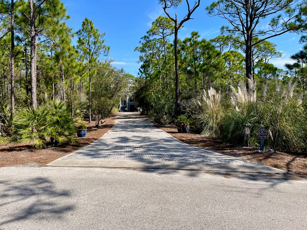 1905 Smugglers Cove Road Eastpoint, FL 32328 - Photo 4 of 53