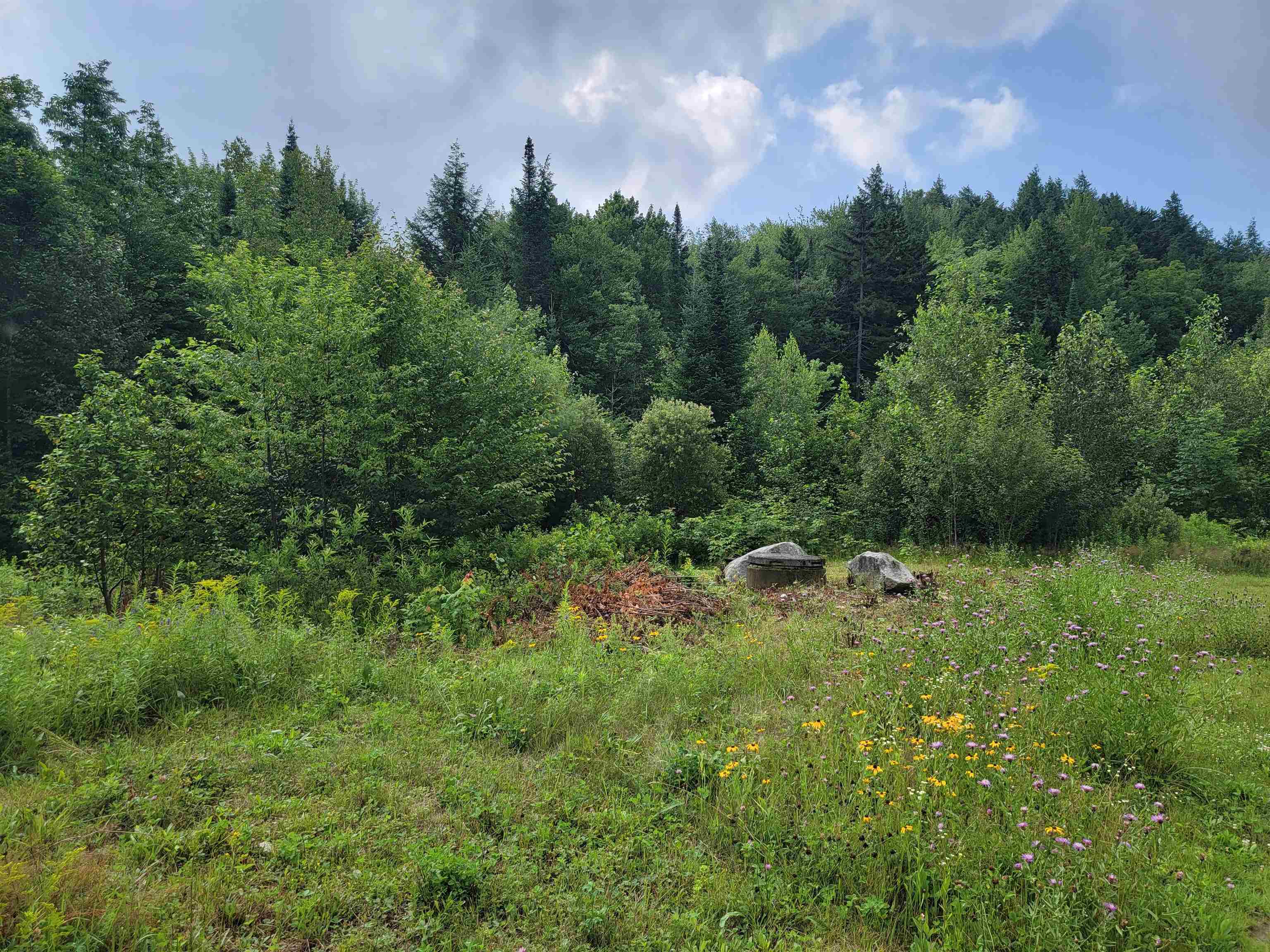 3117 Swamp Road Newbury, VT 05069 - Photo 5 of 7
