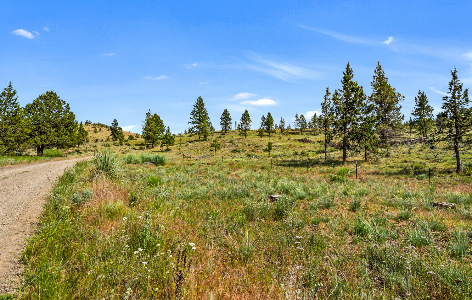 9988 Northeast Cody Ridge Road Prineville, OR 97754 - Photo 45 of 49 Cody Ridge 045