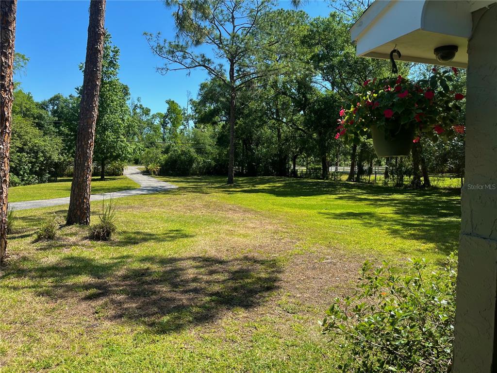 4310 Lithia Pinecrest Road Valrico, FL 33596 - Photo 61 of 62 Gallery Image 61