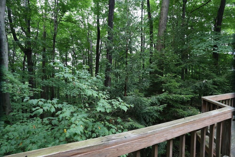 214 Imperial Road Hidden Valley, PA 15502 - Photo 10 of 19 Gallery Image 10