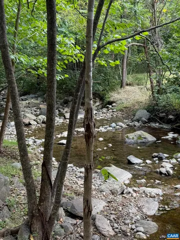 a view of a tree with a yard