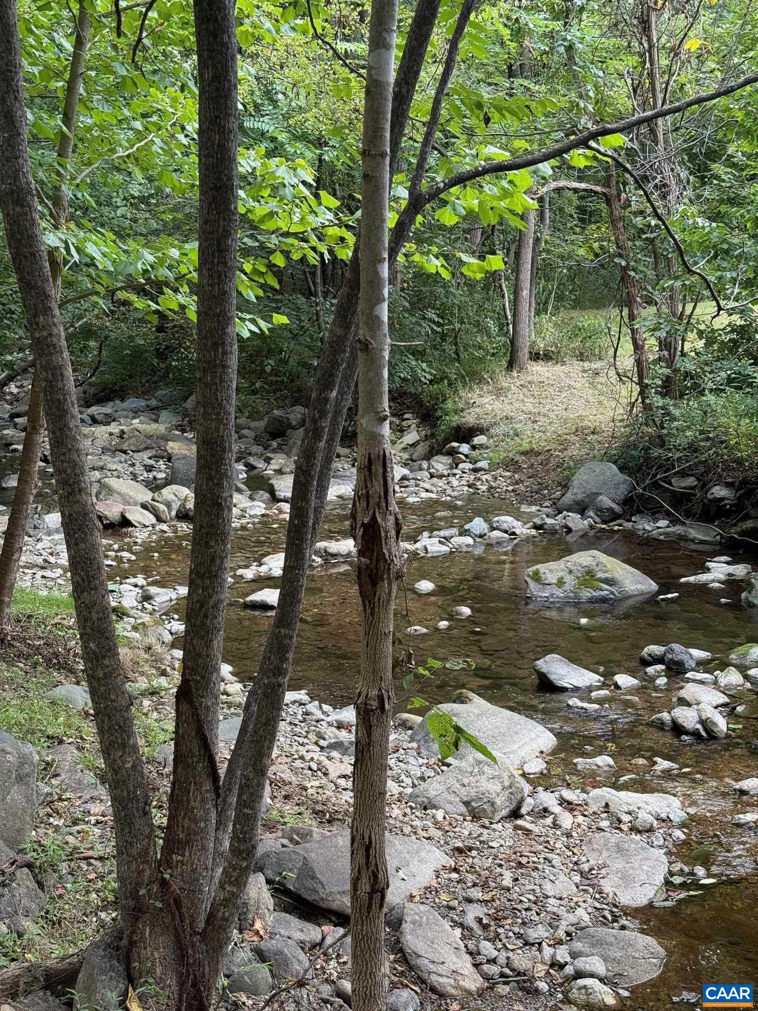 2960 Beech Grove Road Roseland, VA 22967 - Photo 18 of 73 a view of a tree in the forest