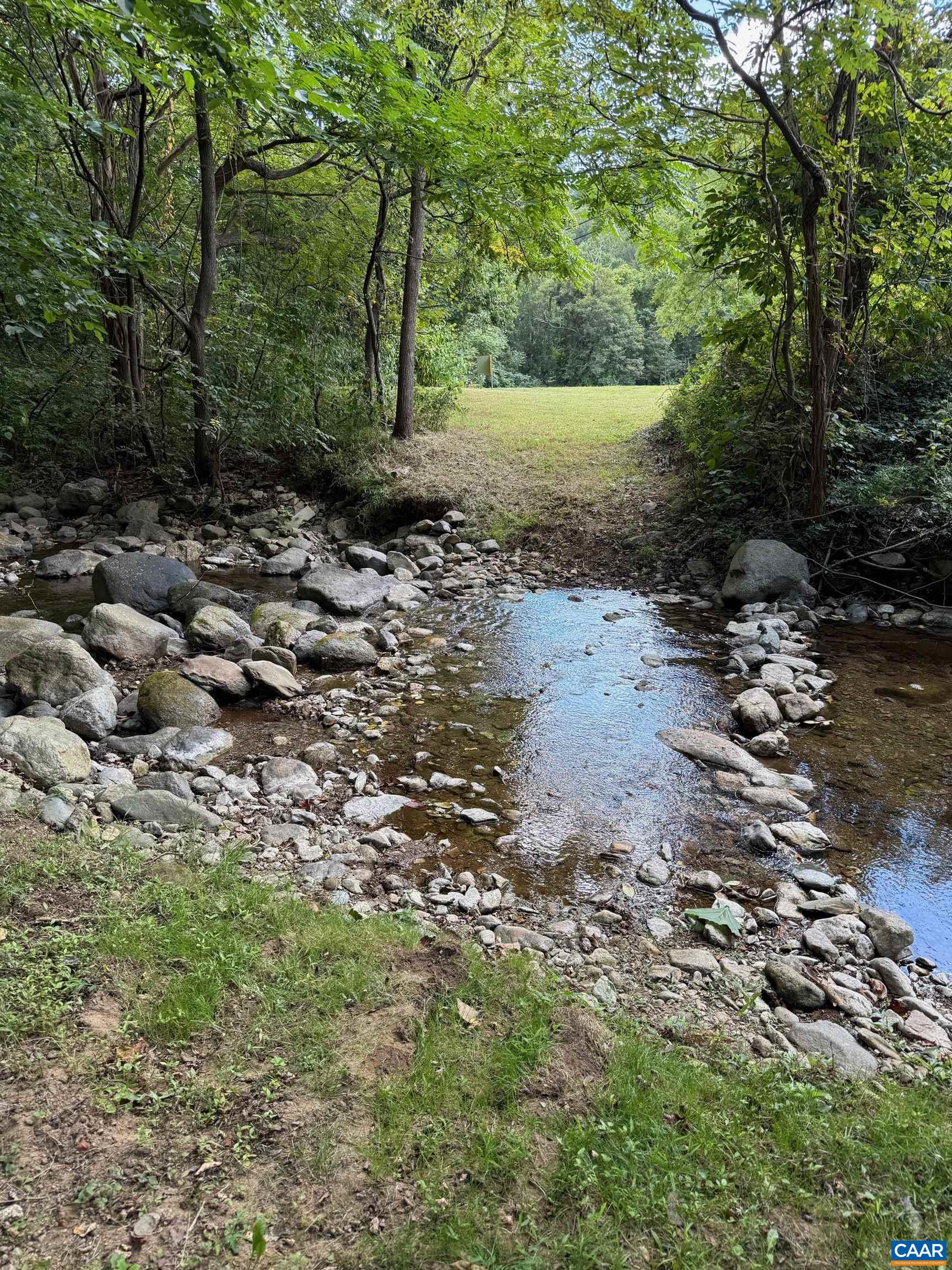 2960 Beech Grove Road Roseland, VA 22967 - Photo 57 of 73 a view of a forest with trees