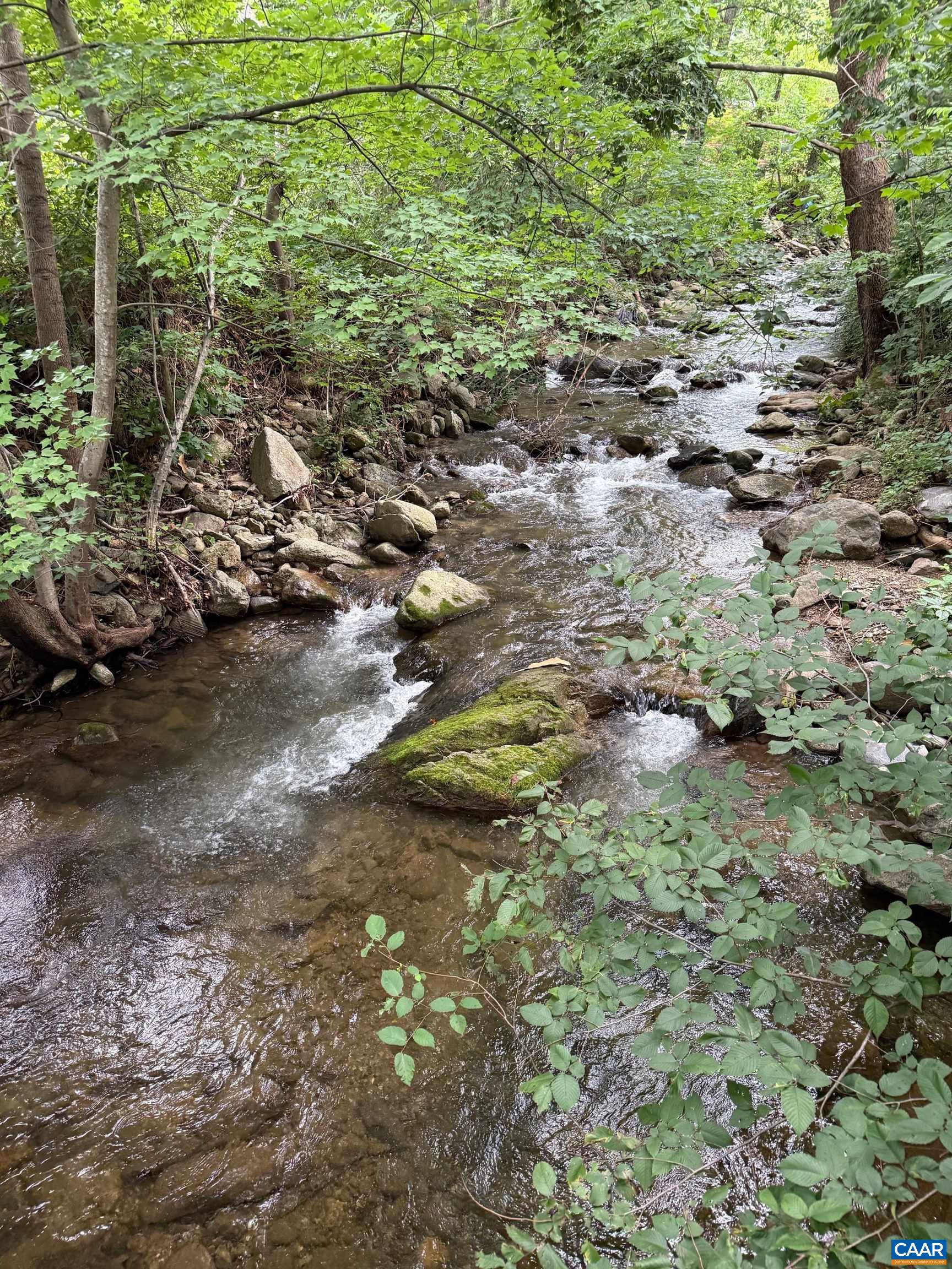 2960 Beech Grove Road Roseland, VA 22967 - Photo 69 of 73 a view of yard