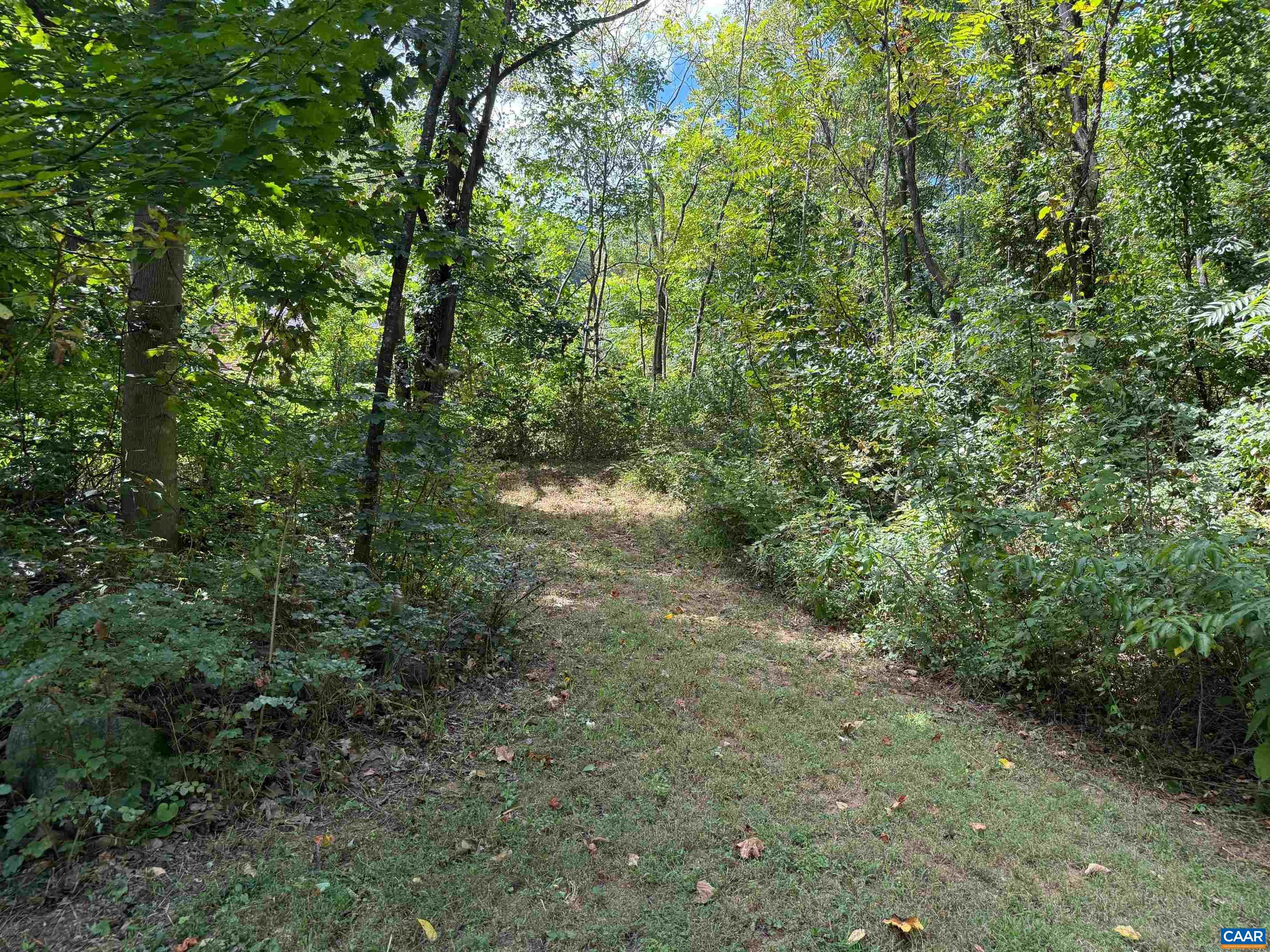 2960 Beech Grove Road Roseland, VA 22967 - Photo 71 of 73 a view of a forest with trees in the background