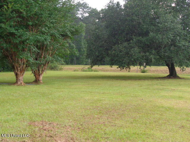 18700 Highway 63 Moss Point, MS 39562 - Photo 25 of 25 DSC02125