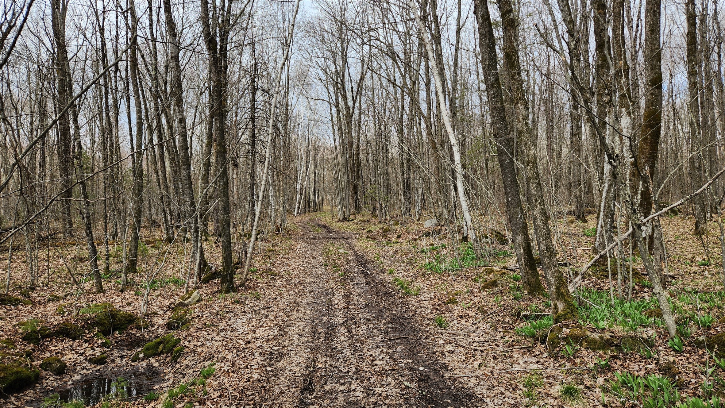 Off Hay Creek Road Prentice, WI 54556 - Photo 29 of 44