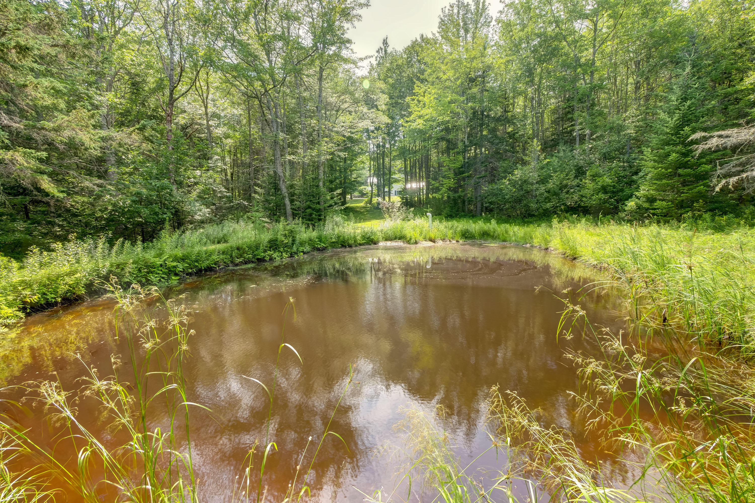 49 Goose Cove Road Trenton, ME 04605 - Photo 7 of 50 View towards house from pond in summer