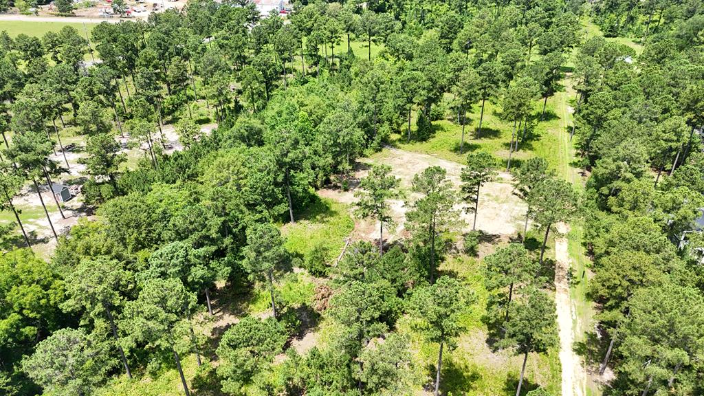 185 Ben Ivey Road Webb, AL 36376 - Photo 3 of 9