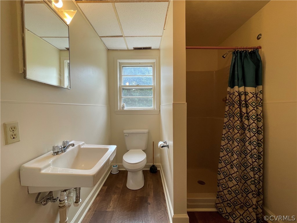 298 John Randolph Road Farmville, VA 23901 - Photo 41 of 50 a bathroom with a sink toilet and shower