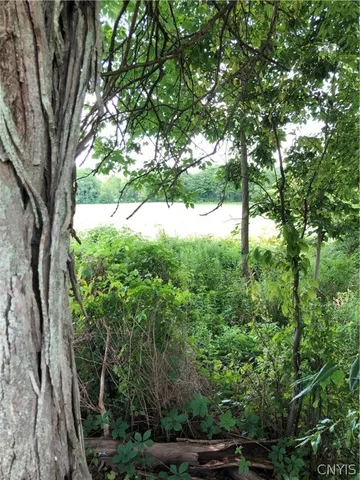 $98,900 | 608 Pendell Hill Road, Whitney Point, NY 13862