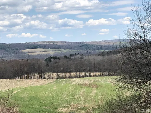 $98,900 | 608 Pendell Hill Road, Whitney Point, NY 13862