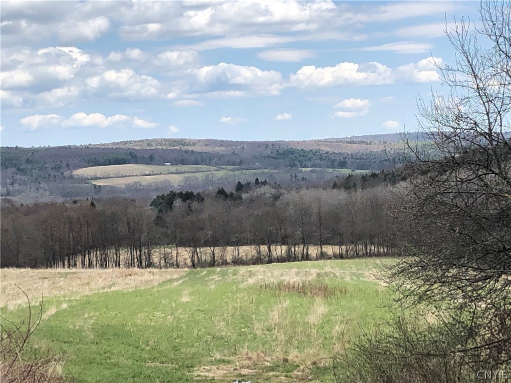 608 Pendell Hill Road Whitney Point, NY 13862 - Photo 12 of 12