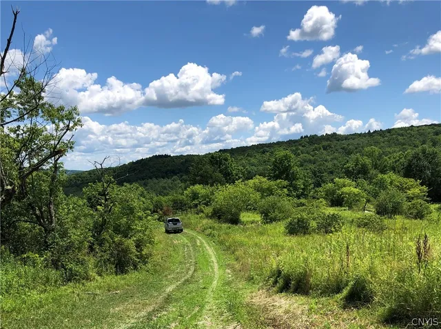 $98,900 | 608 Pendell Hill Road, Whitney Point, NY 13862