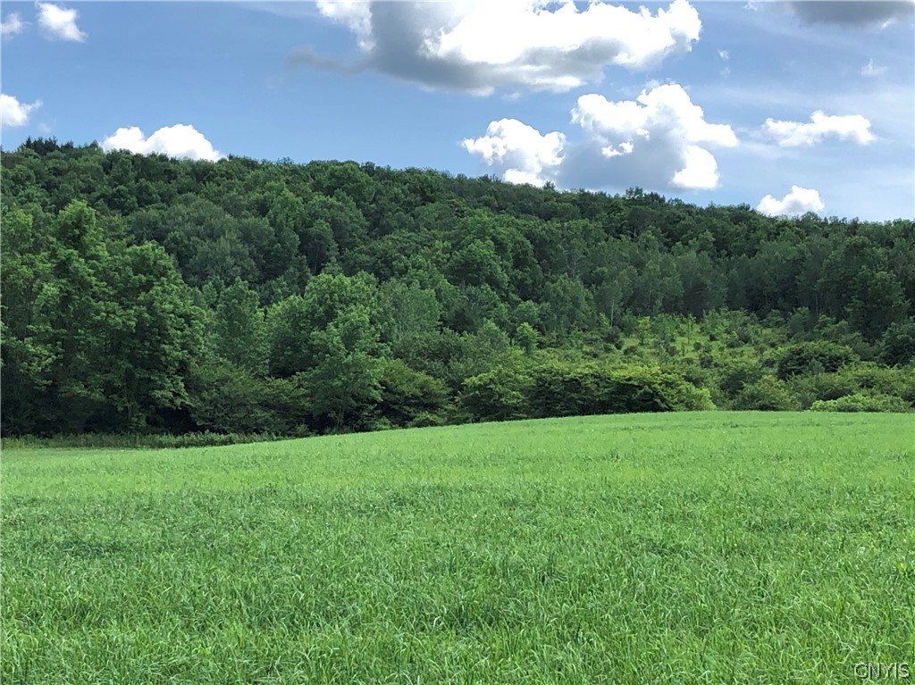 608 Pendell Hill Road Whitney Point, NY 13862 - Photo 3 of 12