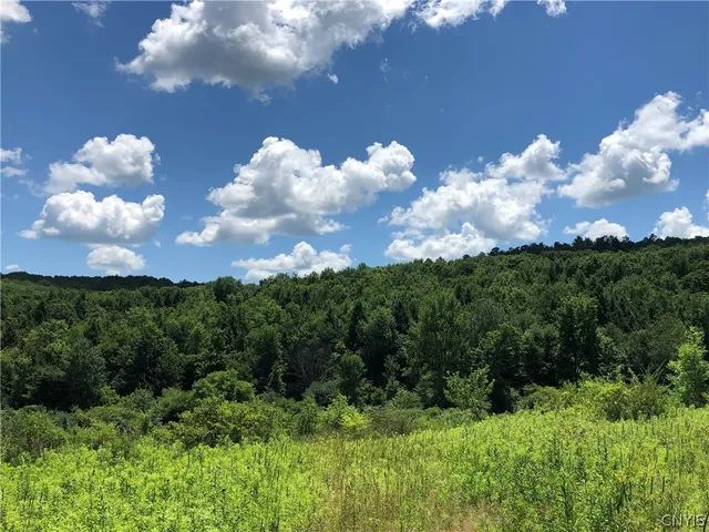 $98,900 | 608 Pendell Hill Road, Whitney Point, NY 13862