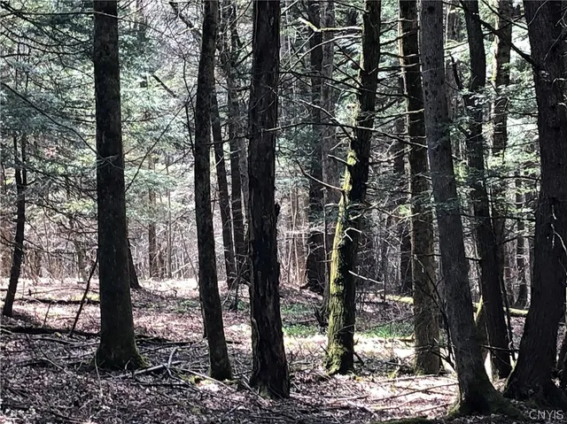 $98,900 | 608 Pendell Hill Road, Whitney Point, NY 13862