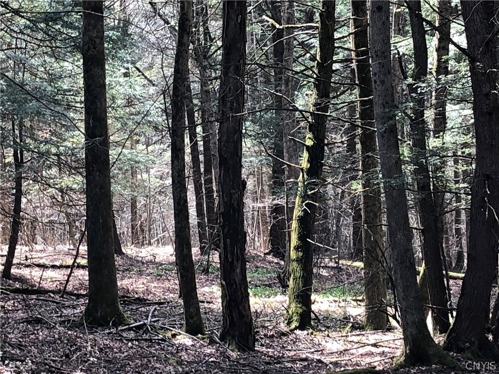 608 Pendell Hill Road Whitney Point, NY 13862 - Photo 5 of 12