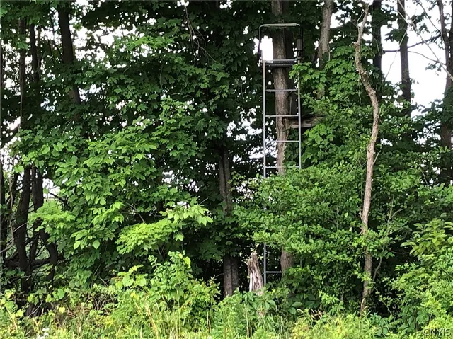 $98,900 | 608 Pendell Hill Road, Whitney Point, NY 13862