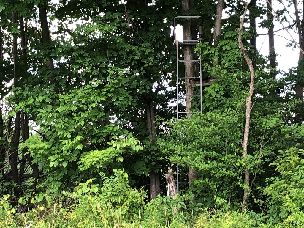 608 Pendell Hill Road Whitney Point, NY 13862 - Photo 6 of 12