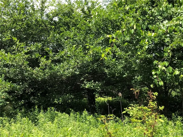 $98,900 | 608 Pendell Hill Road, Whitney Point, NY 13862