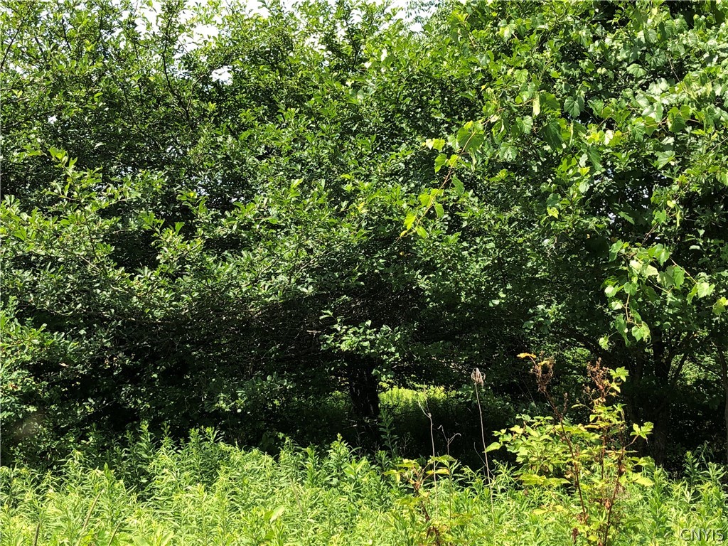 608 Pendell Hill Road Whitney Point, NY 13862 - Photo 7 of 12