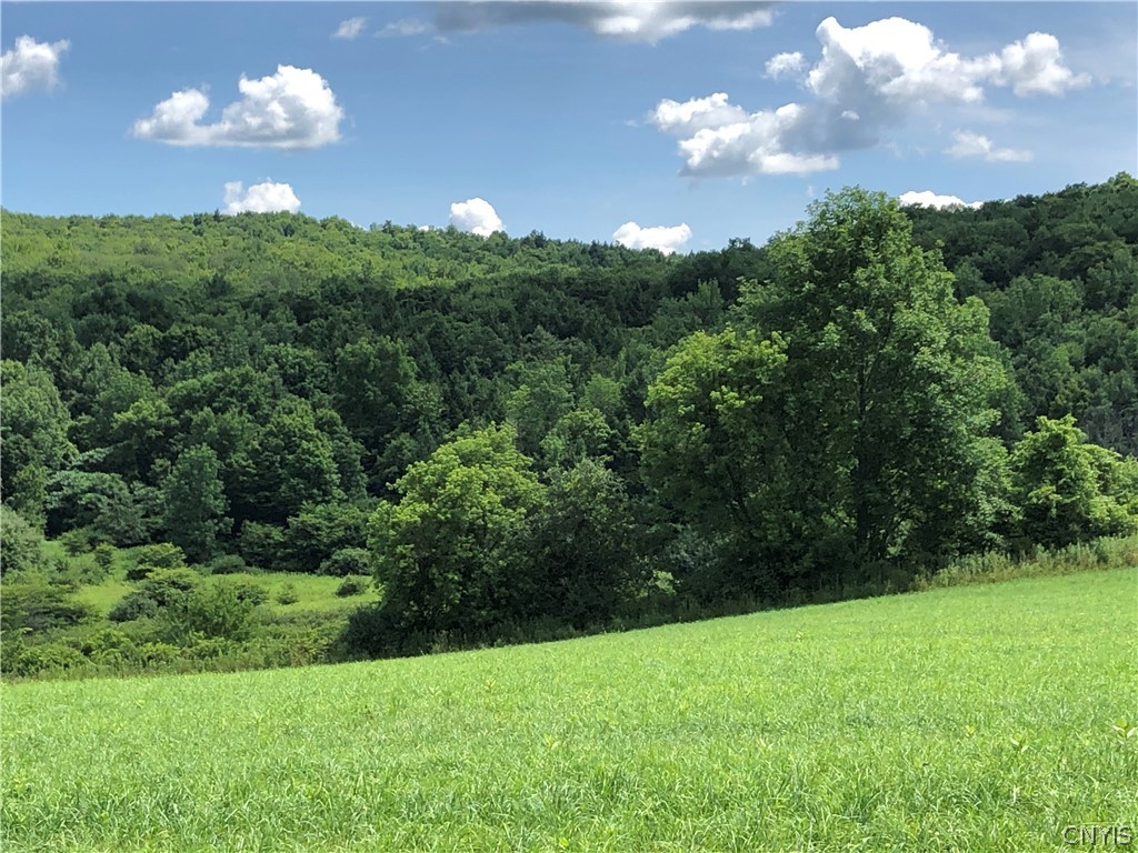 608 Pendell Hill Road Whitney Point, NY 13862 - Photo 9 of 12