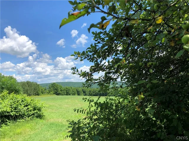 $98,900 | 608 Pendell Hill Road, Whitney Point, NY 13862