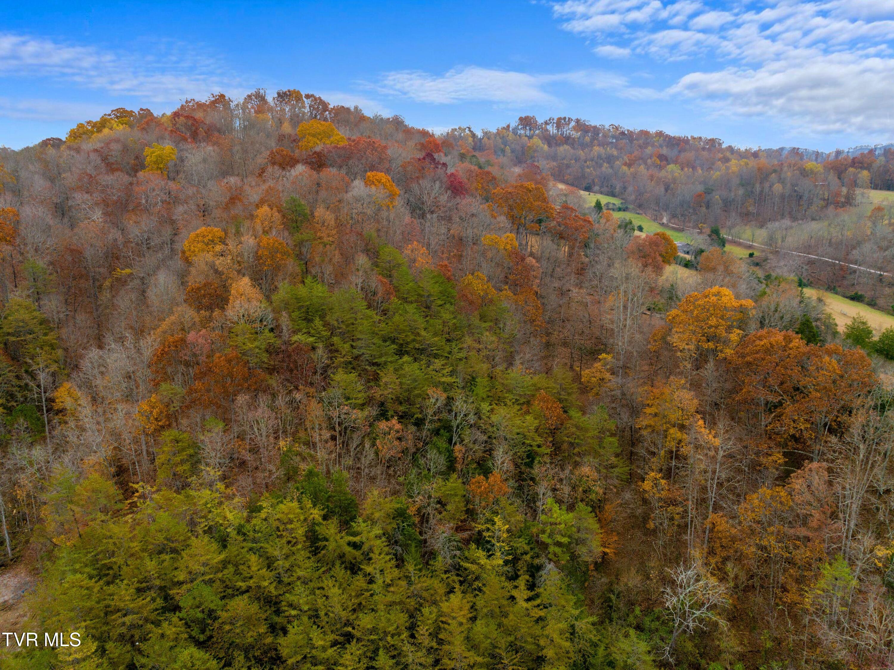 0 Broken Valley Road Thorn Hill, TN 37881 - Photo 7 of 11 DJI_20231109144643_0426_D.jpg-SMALL