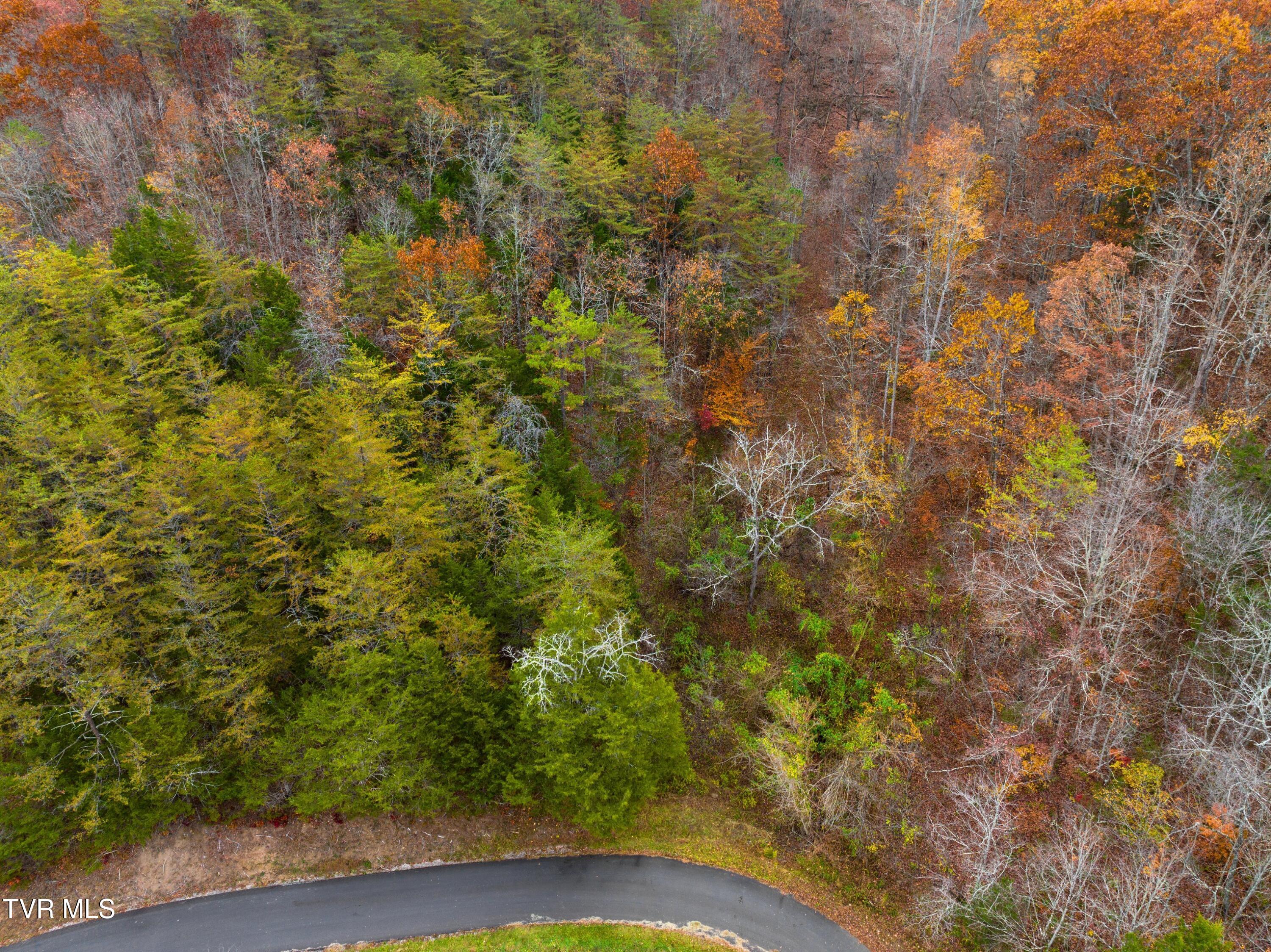 0 Broken Valley Road Thorn Hill, TN 37881 - Photo 8 of 11 DJI_20231109144655_0431_D.jpg-SMALL