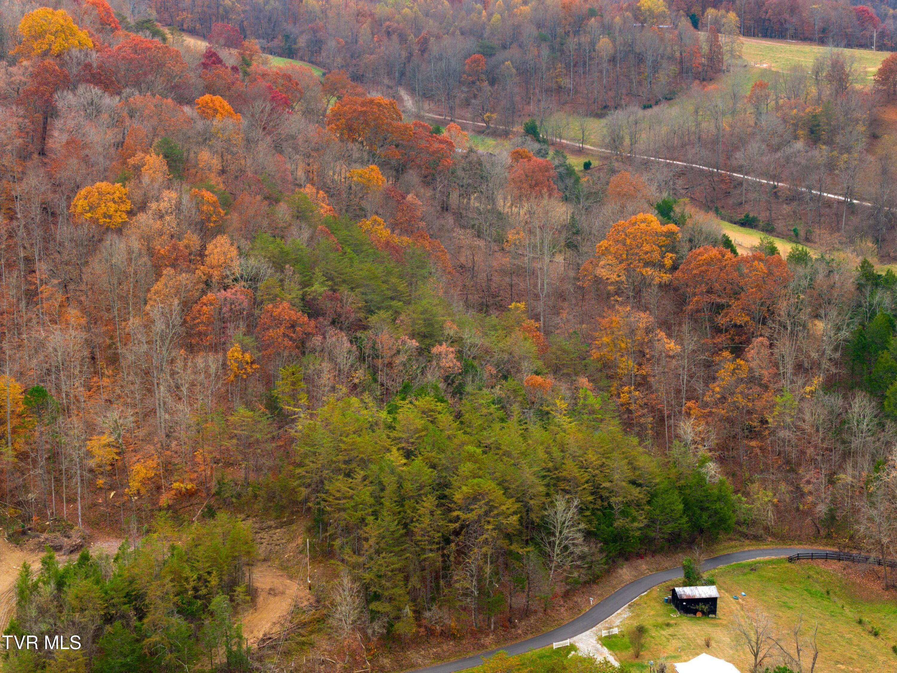 0 Broken Valley Road Thorn Hill, TN 37881 - Photo 9 of 11 DJI_20231109144816_0436_D.jpg-SMALL