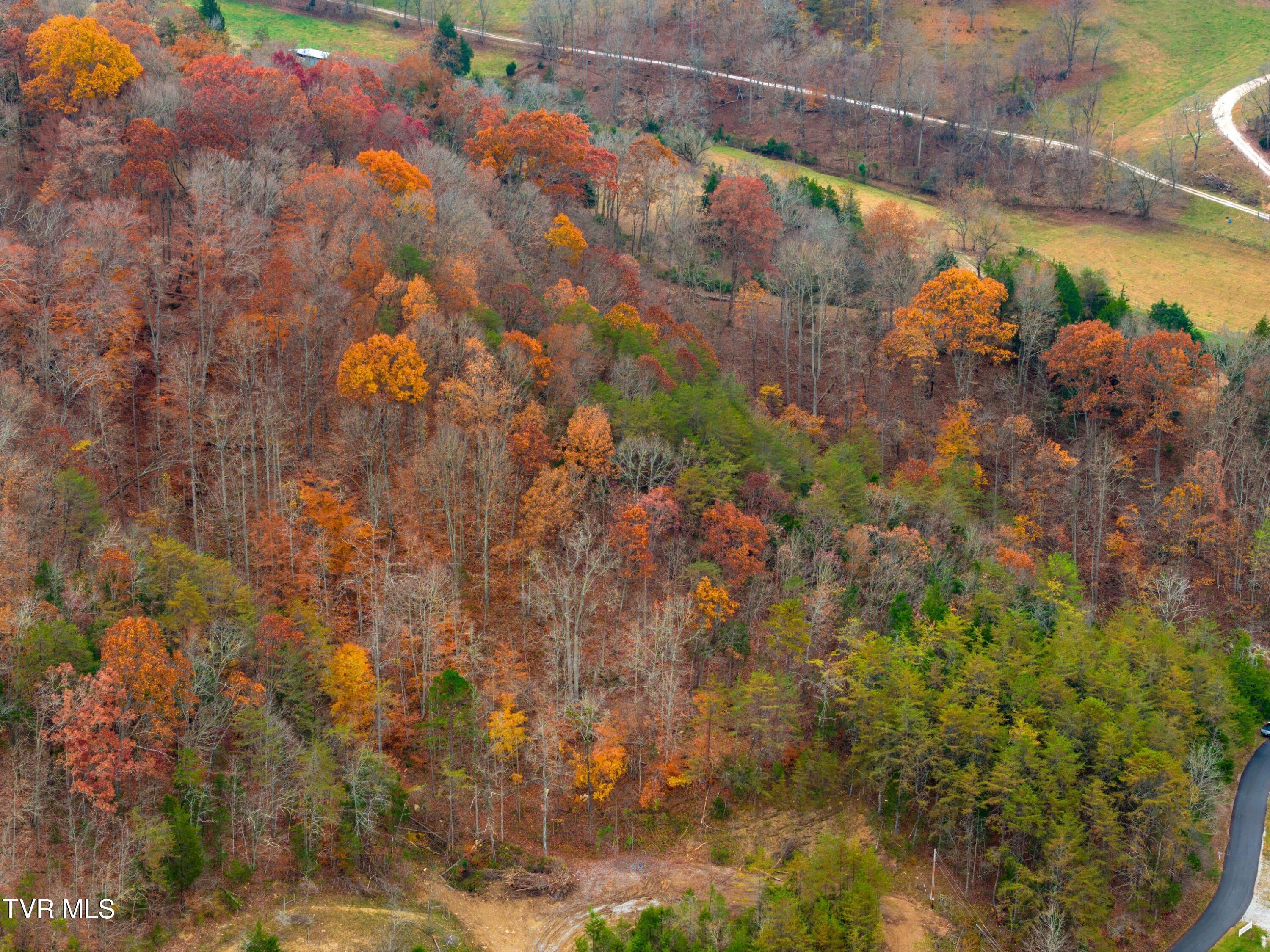 0 Broken Valley Road Thorn Hill, TN 37881 - Photo 10 of 11 DJI_20231109144838_0441_D.jpg-SMALL