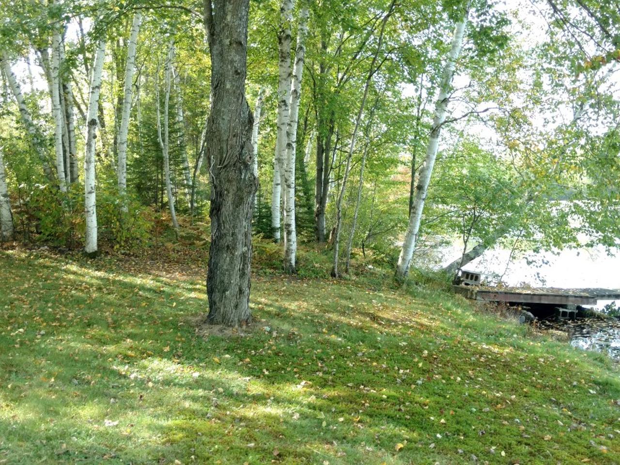 N10227 East Solberg Lake Road Phillips, WI 54555 - Photo 21 of 24 Gallery Image 21