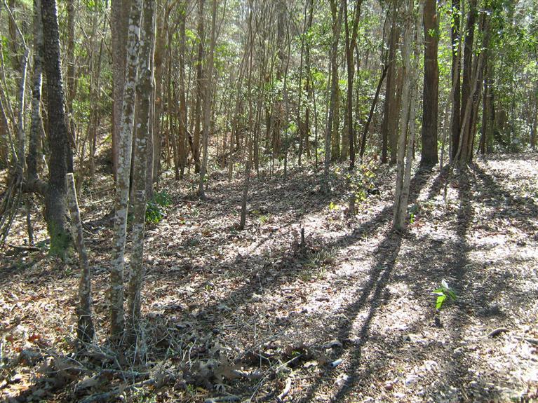 105 Benton Road Southeast Bolivia, NC 28422 - Photo 25 of 30 Additional Photo