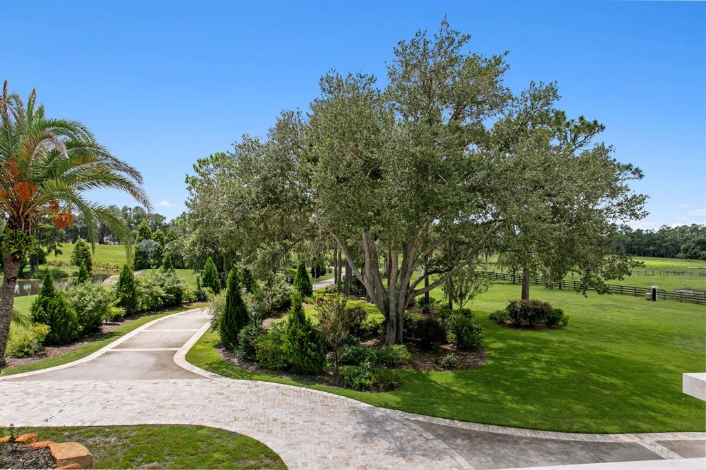 7850 West Four Pines Road Plant City, FL 33565 - Photo 58 of 89 Gallery Image 58