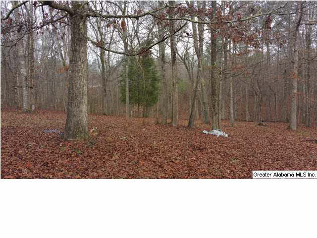 1607 Spring Road Ohatchee, AL 36271 - Photo 25 of 30