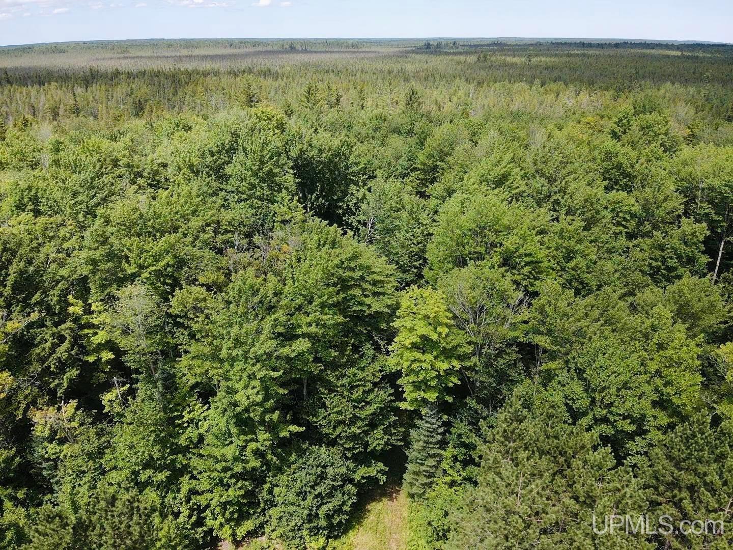 15.5 15.5 Road Wetmore, MI 49895 - Photo 10 of 14