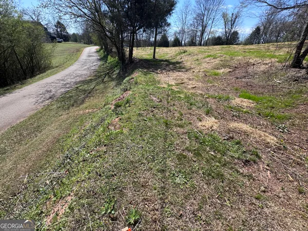 a view of a yard with wooden fence
