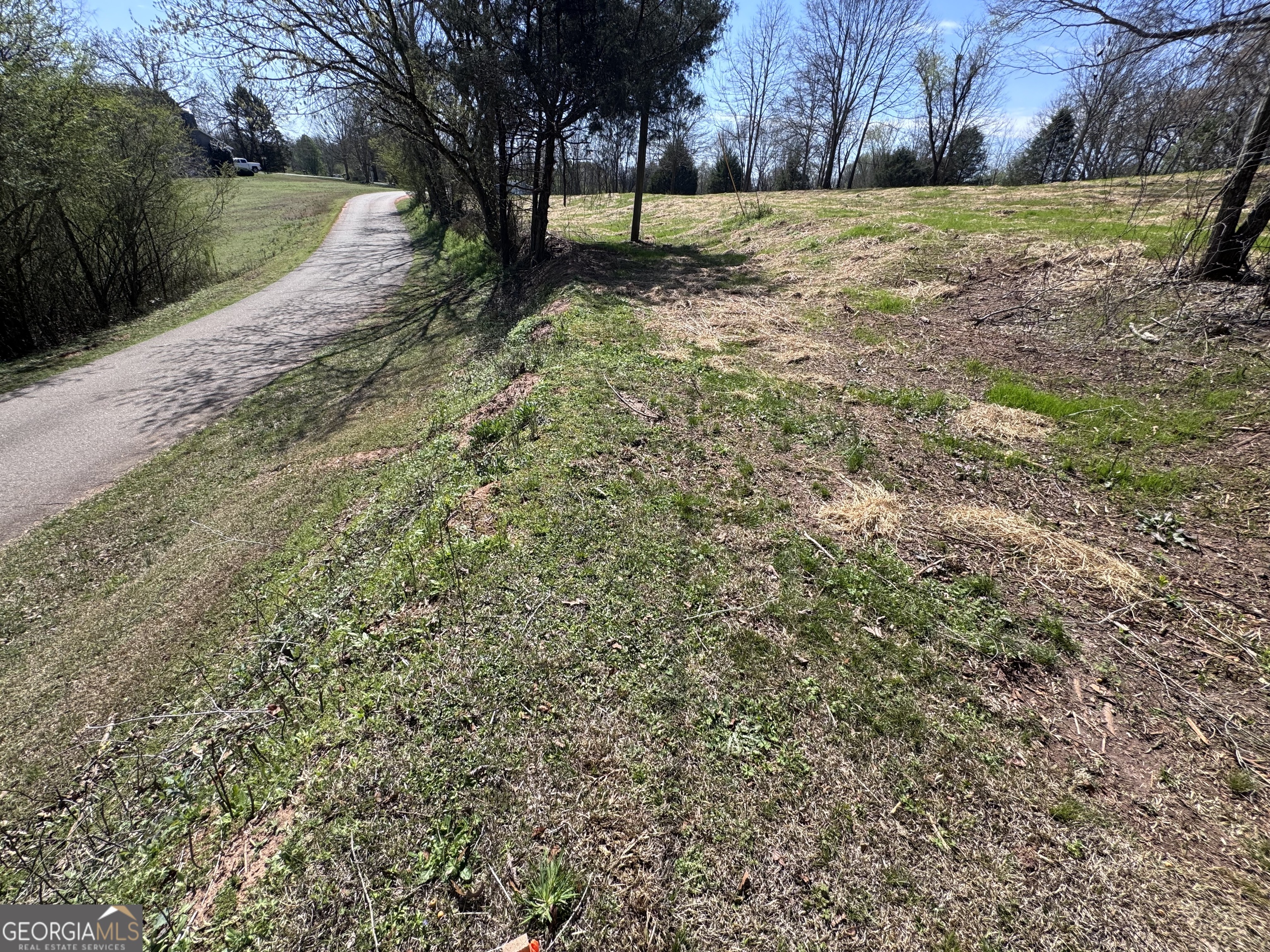 0 River Ridge Drive Carnesville, GA 30521 - Photo 11 of 25