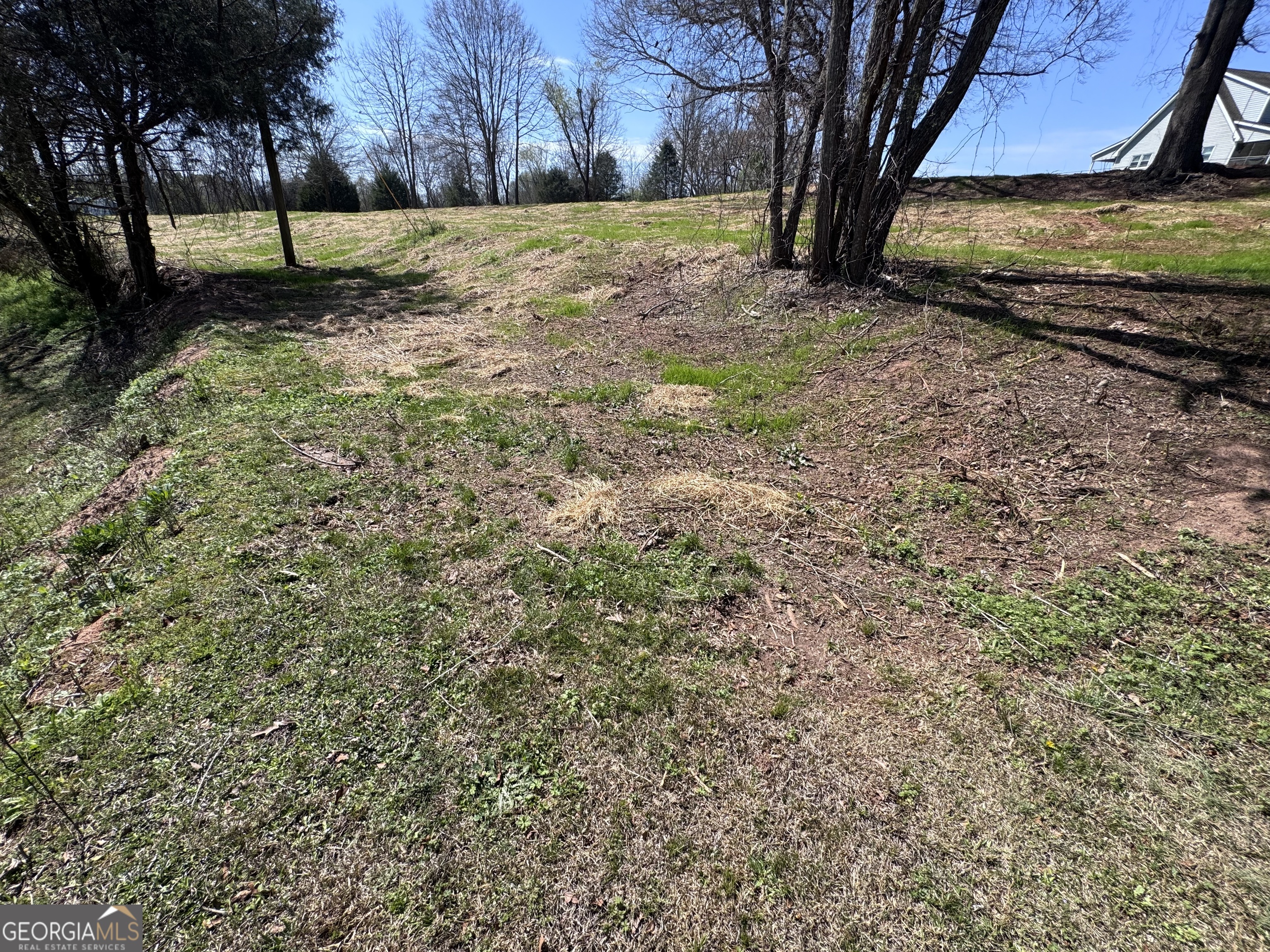 0 River Ridge Drive Carnesville, GA 30521 - Photo 12 of 25