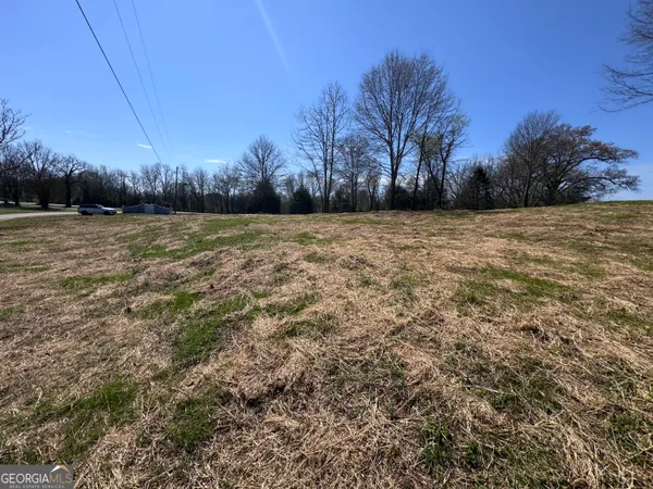 a view of a yard with an trees